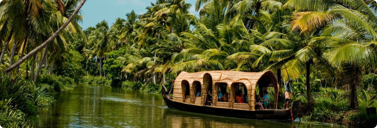 the kerala backwaters