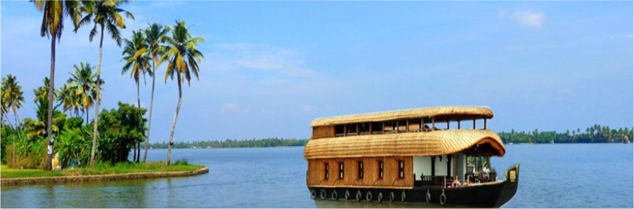 the kerala backwaters