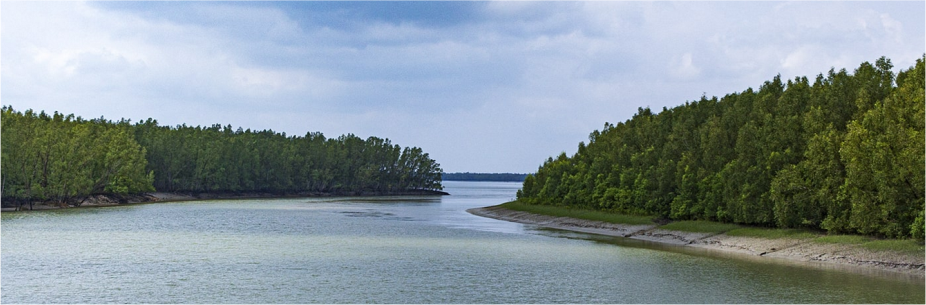 Sunderbans - Jungle Cruise